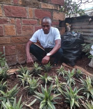 5f3048fd-944a-4cdd-8577-b2b2f29e2d65