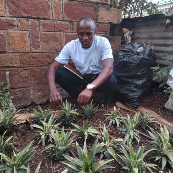 5f3048fd-944a-4cdd-8577-b2b2f29e2d65