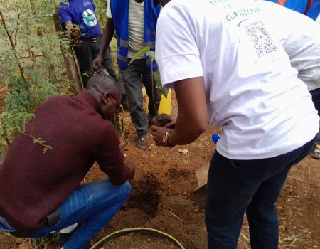 9c5a9203-dd54-44a7-b273-3a95c5a910f7